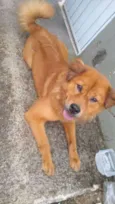 Mel