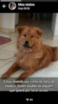 Mel