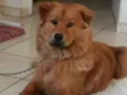 Mel