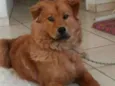 Mel