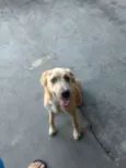 --