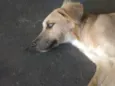 --