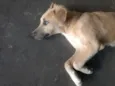 --