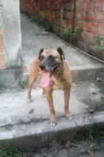 Gomes