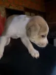 Ainda não tem