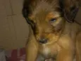 Bella