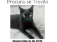 Trovão 