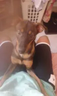 Bidu
