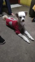 Leão