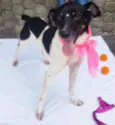 ENYA