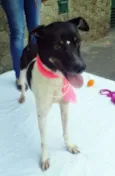 ENYA