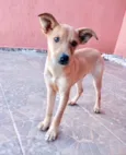 Marley