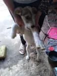 Billy