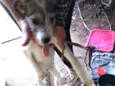 Billy