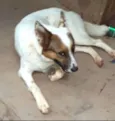 Jonas