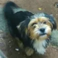 Boby 