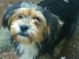 Boby