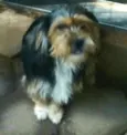 Boby
