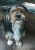 Boby