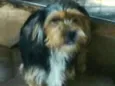 Boby
