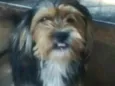 Boby