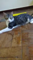 rosita