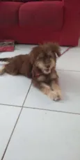 Nao