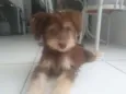 Nao