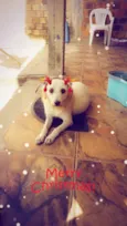 Nina