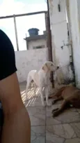 Marley