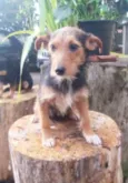 Julieta