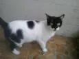 Kate muito amorosa