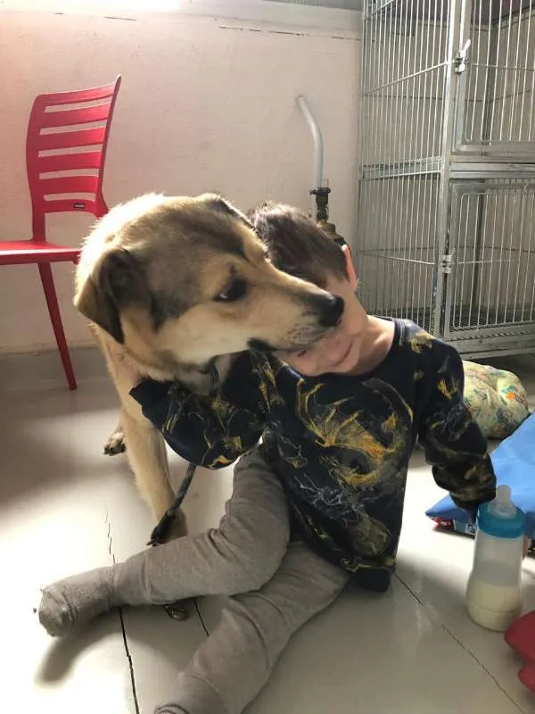 Cachorro ra a SRD idade 3 anos nome Beethoven