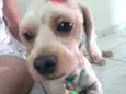 Bob