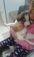 FILHOTES
