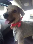 Doug