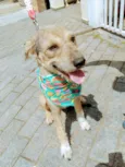 Doug