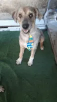 Doug