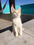 Nina