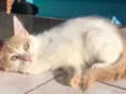 Nina