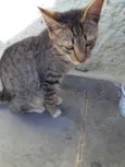 Tom