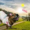 Linda