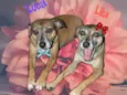 LILA E LUCA