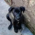 Nina