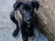Nina