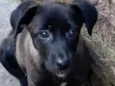Nina
