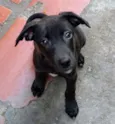 Nina
