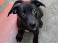 Nina