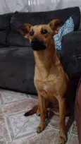 Mel