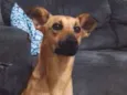 Mel